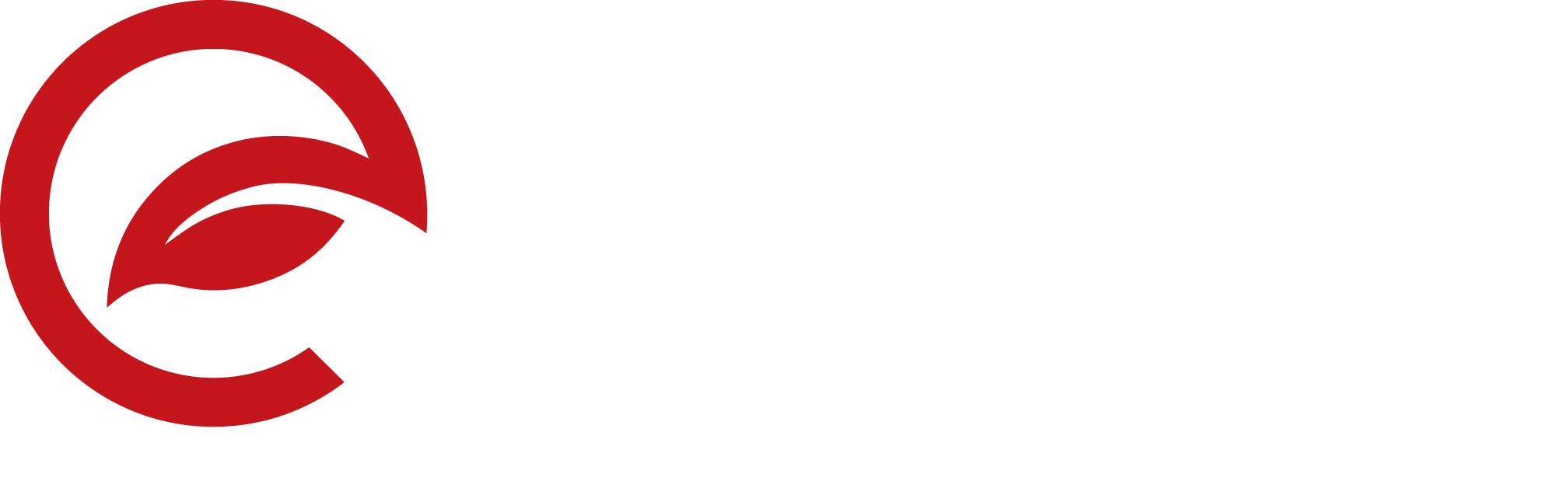 Ocean Atlantic Petroleum